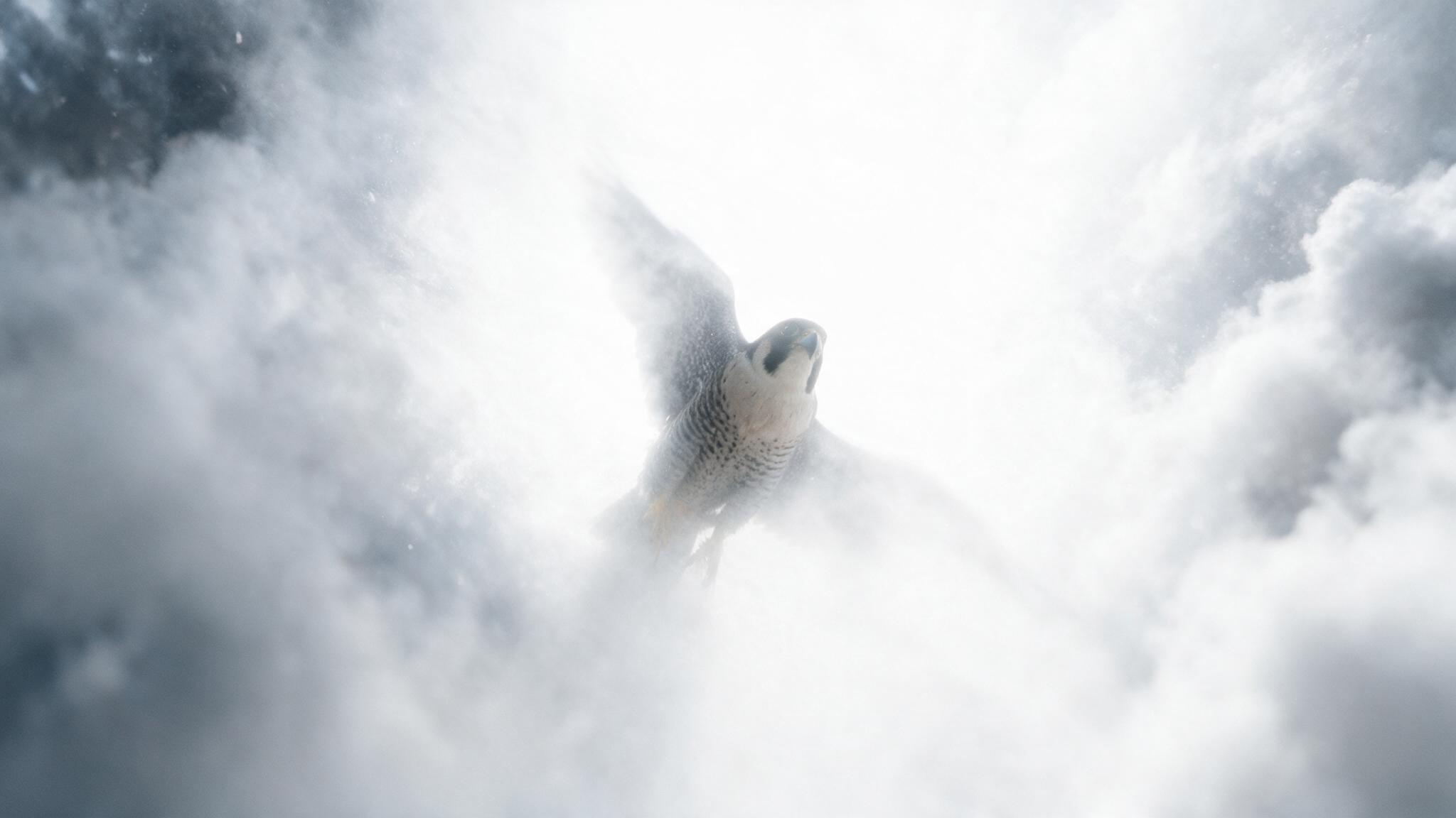 Aerodynamic Wind Tunnel Particle Studies