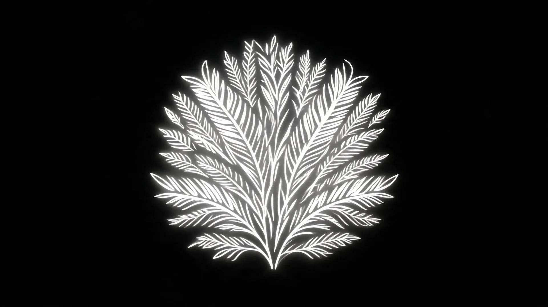 Ballroom Transformation // Projection Content & Visual Asset