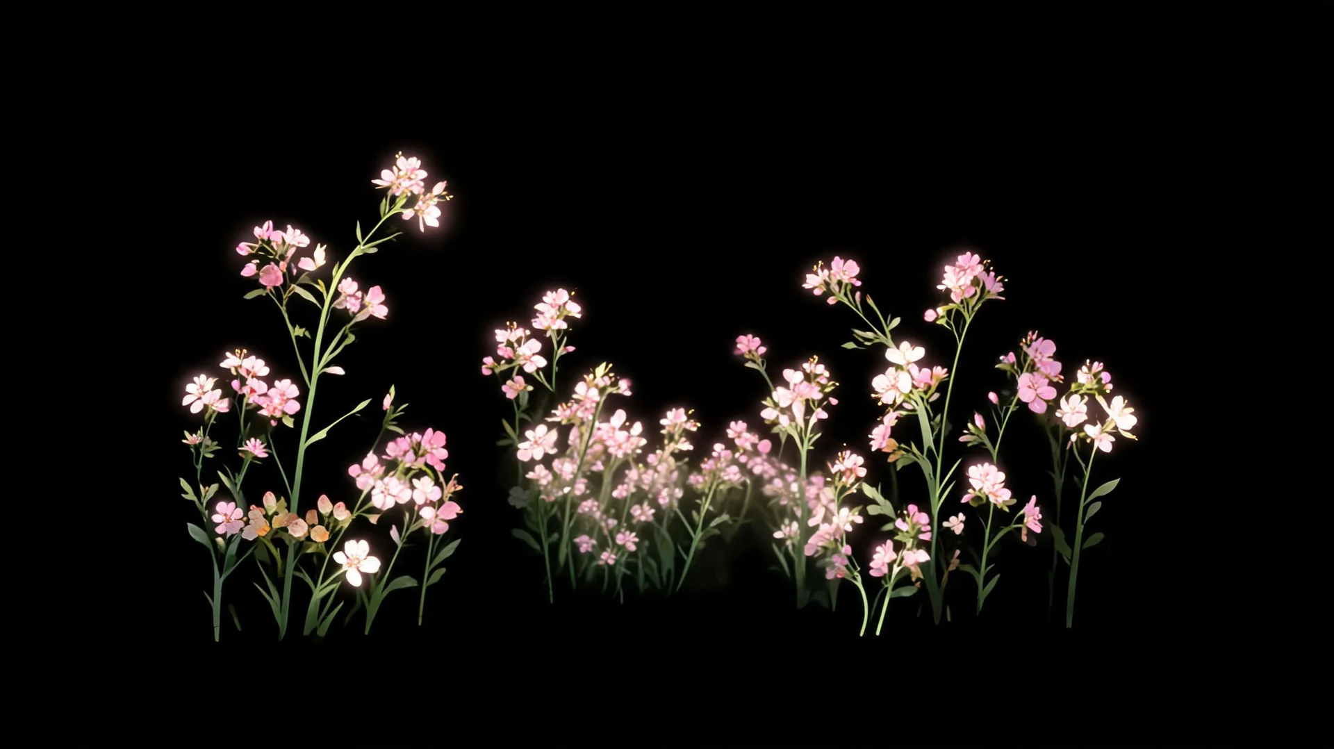 Ballroom Transformation // Projection Content & Visual Asset